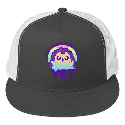 I DIDNT STAB ANYONE TODAY YET - TRUCKER HAT