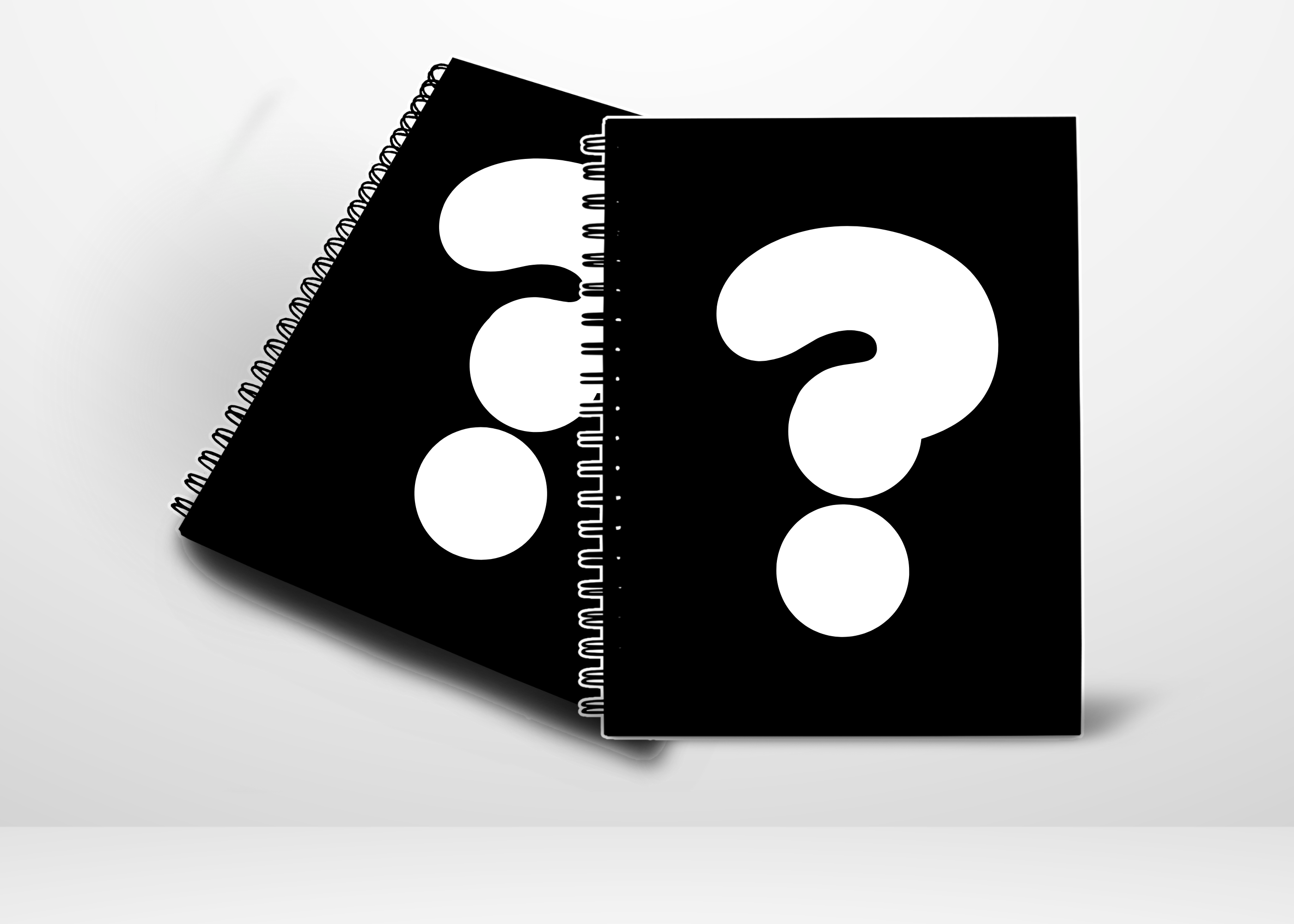 2 B-Grade Mystery Notebooks