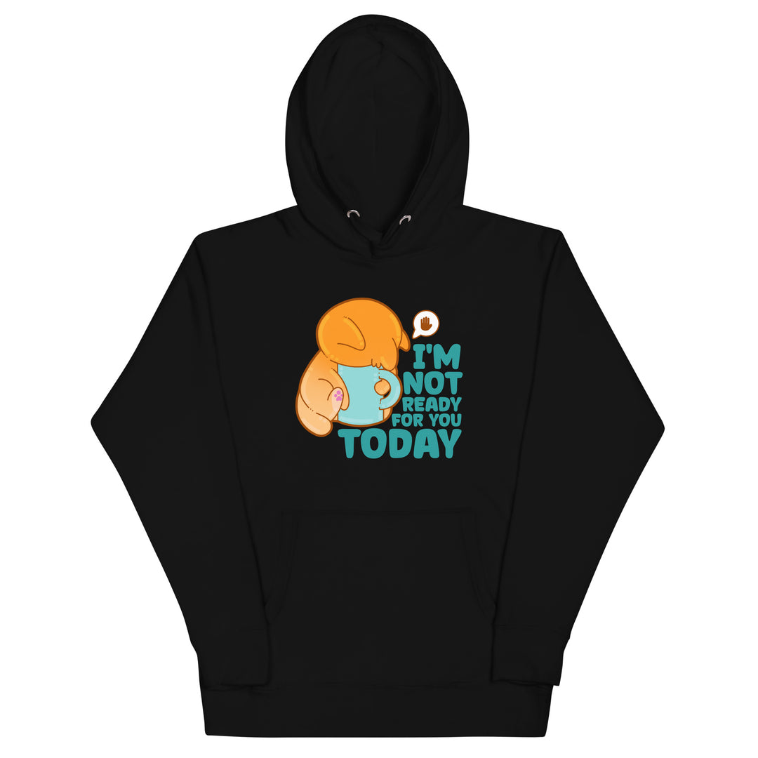IM NOT READY FOR YOU TODAY - Hoodie - ChubbleGumLLC