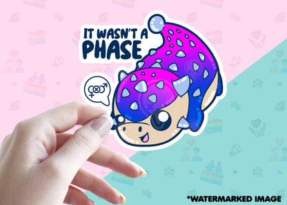 It Wasn't a Phase - ChubbleGumLLC